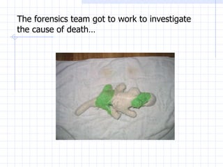 The forensics team got to work to investigate the cause of death… 