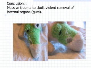 Conclusion… Massive trauma to skull, violent removal of internal organs (guts).  