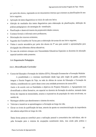 Plano curricular do Agrupamento de Escolas Fragata do Tejo