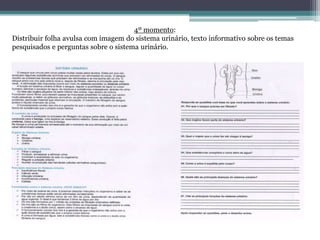 4º momento:
Distribuir folha avulsa com imagem do sistema urinário, texto informativo sobre os temas
pesquisados e perguntas sobre o sistema urinário.
 