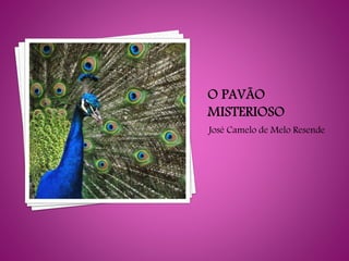 José Camelo de Melo Resende
 