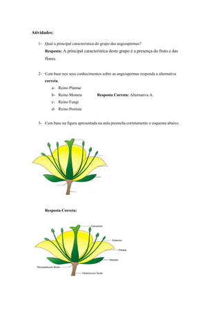 Atividades:
1- Qual a principal característica do grupo das angiospermas?
Resposta: A principal característica deste grupo é a presença do fruto e das

flores.

2- Com base nos seus conhecimentos sobre as angiospermas responda a alternativa
correta.
a- Reino Plantae
b- Reino Monera

Resposta Correta: Alternativa A.

c- Reino Fungi
d- Reino Protista

3- Com base na figura apresentada na aula preencha corretamente o esquema abaixo.

Resposta Correta:

 