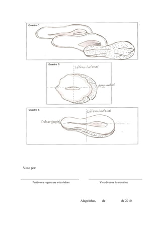 Visto por:



       Professora regente ou articuladora                 Vice-diretora do matutino




                                            Alagoinhas,     de               de 2010.
 