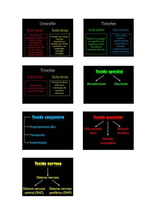 Plano de aula_01_maria tereza