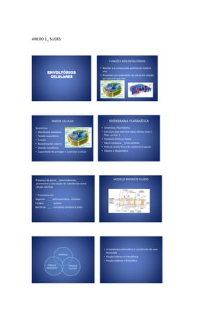 ANEXO 1_ SLIDES




                                                        FUNÇÕES DOS ENVOLTÓRIOS

                                                 • Manter e a composição química da matéria
           ENVOLTÓRIOS                             viva
                                                 • Promover um isolamento da célula em relação
              CELULARES                            ao meio em que vive




               PAREDE CELULAR                           MEMBRANA PLASMÁTICA
 Sinonímias                                       • Sinomínia: Plasmalema
 • Membrana celulósica                            • Estrutura que delimita todas células vivas (
 • Parede esquelética                               Proc. ou Euc. )
 • Função                                         • Fronteira entre os meios
 • Revestimento interno                           • Não é estanque _ Porta seletiva
 • Grande resistência                             • Película muito fina e de contorno irregular
 • Capacidade de proteger e sustentar a célula    • Elástica e lipoproteíca




 Presença de poros _ plasmodesmos_                          MODELO MOSAÍCO FLUÍDO
  promovem a circulação de substâncias entre
 células vizinhas

 • Presentes em:
 Vegetais      polissacarídeos, celulose
 Fungos         quitina
 Bactérias      complexo protéico e polis.




                                                   • A membrana plásmática é constituída de uma
                                                     bicamada
                     MODELO
                                                   • Porção interior é hidrofóbica
                                                   • Porção anterior é hidrofílica
           PORQUE             PORQUE
          MOSAÍCO?            FLUÍDO?
 