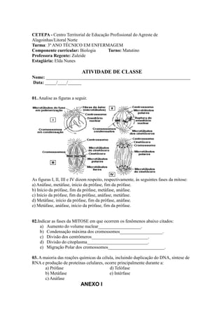 CETEPA - Centro Territorial de Educação Profissional do Agreste de
Alagoinhas/Litoral Norte
Turma: 3º ANO TÉCNICO EM ENFERMAGEM
Componente curricular: Biologia        Turno: Matutino
Professora Regente: Zuleide
Estagiária: Elda Nunes

                             ATIVIDADE DE CLASSE
Nome: ________________________________________________________________
Data: _____/____/______


01. Analise as figuras a seguir.




As figuras I, II, III e IV dizem respeito, respectivamente, às seguintes fases da mitose:
a) Anáfase, metáfase, início da prófase, fim da prófase.
b) Início da prófase, fim da prófase, metáfase, anáfase.
c) Início da prófase, fim da prófase, anáfase, metáfase.
d) Metáfase, início da prófase, fim da prófase, anáfase.
e) Metáfase, anáfase, início da prófase, fim da prófase.


02.Indicar as fases da MITOSE em que ocorrem os fenômenos abaixo citados:
    a) Aumento do volume nuclear___________________.
    b) Condensação máxima dos cromossomos___________________.
    c) Divisão dos centrômeros_________________________.
    d) Divisão do citoplasma___________________________.
    e) Migração Polar dos cromossomos_________________________.

03. A maioria das reações químicas da célula, incluindo duplicação do DNA, síntese de
RNA e produção de proteínas celulares, ocorre principalmente durante a:
       a) Prófase                         d) Telófase
       b) Metáfase                        e) Intérfase
       c) Anáfase
                            ANEXO I
 
