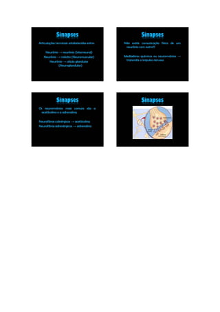 Plano de aula_05_maria_tereza