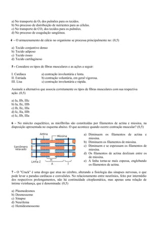 a) No transporte de O2 dos pulmões para os tecidos.
b) No processo de distribuição de nutrientes para as células.
c) No transporte de CO2 dos tecidos para os pulmões.
d) No processo de coagulação sangüínea.

4 – O armazenamento de cálcio no organismo se processa principalmente no: (0,5)

a)   Tecido conjuntivo denso
b)   Tecido adiposo
c)   Tecido ósseo
d)   Tecido cartilaginoso

5 - Considere os tipos de fibras musculares e as ações a seguir:

I. Cardíaca            a) contração involuntária e lenta.
II. Estriada           b) contração voluntária, em geral vigorosa.
III. Lisa              c) contração involuntária e rápida.

Assinale a alternativa que associa corretamente os tipos de fibras musculares com sua respectiva
ação. (0,5)

a) Ia, IIb, IIIc
b) Ia, IIc, IIIb
c) Ib, IIc, IIIa
d) Ic, IIa, IIIb
e) Ic, IIb, IIIa

6 – No miócito esquelético, as miofibrilas são constituídas por filamentos de actina e miosina, na
disposição apresentada no esquema abaixo. O que acontece quando ocorre contração muscular? (0,5)

                                                        a) Diminuem os filamentos de actina e
                                                           miosina.
                                                        b) Diminuem os filamentos de miosina.
                                                        c) Diminuem e se espesssam os filamentos de
                                                           miosina.
                                                        d) Os filamentos de actina deslizam entre os
                                                           de miosina.
                                                        e) A linha torna-se mais espessa, englobando
                                                           os filamentos de actina.

7 - O "Crack" é uma droga que atua no cérebro, alterando a fisiologia das sinapses nervosas, o que
pode levar a paradas cardíacas e convulsões. No relacionamento entre neurônios, feito por intermédio
dos respectivos prolongamentos, não há continuidade citoplasmática, mas apenas uma relação de
íntima vizinhança, que é denominada: (0,5)

a)   Plasmodesmos
b)   Desmossomo
c)   Sinapse
d)   Neurilema
e)   Hemidesmossomo
 