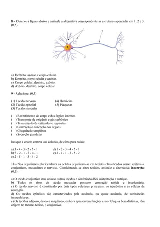 8 – Observe a figura abaixo e assinale a alternativa correspondente as estruturas apontadas em 1, 2 e 3:
(0,5)




a)   Dentrito, axônio e corpo celular.
b)   Dentrito, corpo celular e axônio.
c)   Corpo celular, dentrito, axônio.
d)   Axônio, dentrito, corpo celular.

9 - Relacione: (0,5)

(1) Tecido nervoso                  (4) Hemácias
(2) Tecido epitelial                (5) Plaquetas
(3) Tecido muscular

(    ) Revestimento do corpo e dos órgãos internos
(    ) Transporte de oxigênio e gás carbônico
(    ) Transmissão de estímulos e respostas
(    ) Contração e distenção dos órgãos
(    ) Coagulação sangüínea
(    ) Secreção glandular

Indique a ordem correta das colunas, de cima para baixo:

a) 3 - 4 - 3 - 2 - 5 - 1           d) 1 - 2 - 3 - 4 - 5 - 1
b) 3 - 2 - 1 - 3 - 4 - 1           e) 2 - 4 - 1 - 3 - 5 - 2
c) 2 - 5 - 1 - 3 - 4 - 2

10 - Nos organismos pluricelulares as células organizam-se em tecidos classificados como: epiteliais,
conjuntivos, musculares e nervoso. Considerando-se estes tecidos, assinale a alternativa incorreta:
(0,5)

a) O tecido conjuntivo atua unindo outros tecidos e conferindo-lhes sustentação e nutrição.
b) Todos os tipos de tecido muscular possuem contração rápida e involuntária.
c) O tecido nervoso é constituído por dois tipos celulares principais: os neurônios e as células de
neuróglia.
d) Os tecidos epiteliais são caracterizados pela ausência, ou quase ausência, de substâncias
intercelulares.
e) Os tecidos adiposo, ósseo e sangüíneo, embora apresentem funções e morfologias bem distintas, têm
origem no mesmo tecido, o conjuntivo.
 