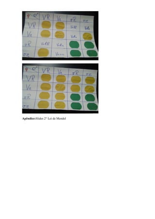 Apêndice:Slides 2° Lei de Mendel
 