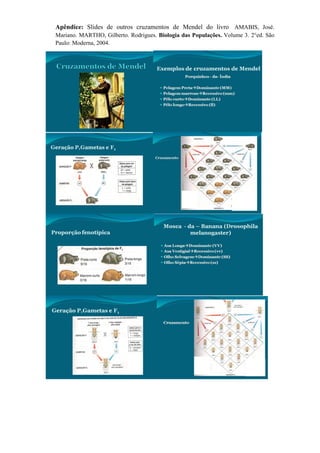 Apêndice: Slides de outros cruzamentos de Mendel do livro AMABIS, José.
Mariano. MARTHO, Gilberto. Rodrigues. Biologia das Populações. Volume 3. 2°ed. São
Paulo: Moderna, 2004.
 