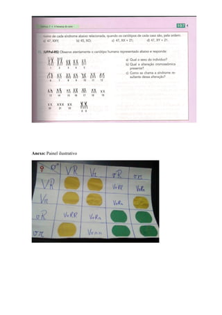 Anexo: Painel ilustrativo
 