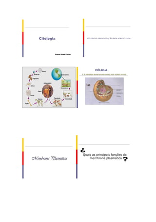 Plano de aula 1   alana