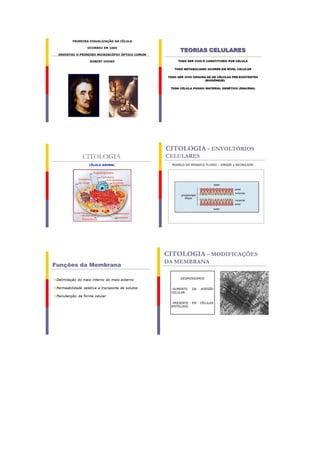 Plano de aula 1   alana