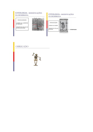 Plano de aula 1   alana