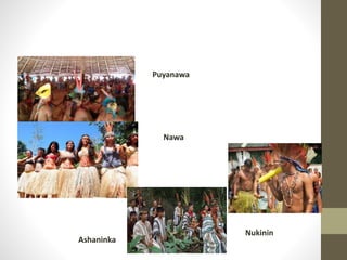 Puyanawa
Nawa
Nukinin
Ashaninka
 