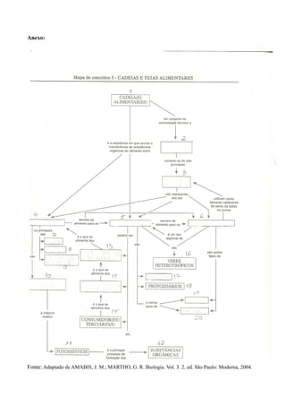 Anexo:




Fonte: Adaptado de AMABIS, J. M.; MARTHO, G. R. Biologia. Vol. 3. 2. ed. São Paulo: Moderna, 2004.
 