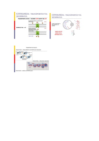 Plano de aula 3    alana
