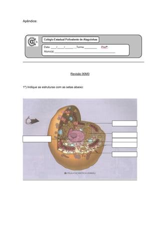Apêndice:




                                    Revisão 90M3



1º) Indique as estruturas com as setas abaixo:
 