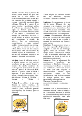 Meiose: é o nome dado ao processo de
divisão celular através do qual uma        Vários estágios são definidos durante
célula tem o seu número de                 esta   fase:    Leptóteno,    Zigóteno,
cromossomos reduzido pela metade. Por      Paquíteno, Diplóteno e Diacinese.
este processo são formados gametas e
esporos, é constituída por duas divisões   Leptóteno: Os cromossomos tornam-se
celulares: Meiose I e Meiose II. A         visíveis como delgados fios que
meiose permite a recombinação gênica,      começam a se condensar, mas ainda
de tal forma que cada célula diplóide é    formam um denso emaranhado. Nesta
capaz de formar quatro células             fase inicial, as duas cromátides- irmãs
haplóides eneticamente diferentes entre    de cada cromossomo estão alinhadas tão
si. Isso explica a variabilidade das       intimamente que não são distinguíveis.
espécies de reprodução sexuada. A          Zigóteno: Os cromossomos homólogos
meiose conduz à redução do número          começam a combinar-se estreitamente
dos cromossomos à metade. Na               ao longo de toda a sua extensão. O
primeira    fase,    os    cromossomos     processo de pareamento ou sinapse é
emparelham-se e trocam material            muito preciso.
genético (entrecruzamento ou crossing-     Paquíteno: Os cromossomos tornam-se
over), antes de separar-se em duas         bem mais espiralados. O pareamento é
células filhas. Cada um dos núcleos        completo e cada par de homólogos
destas células filhas tem só metade do     aparece como um bivalente. Neste
número original de cromossomos. Os         estágio ocorre o crossing-over, ou seja,
dois núcleos resultantes dividem-se na     a troca de segmentos homólogos entre
Meiose II, formando quatro células.        cromátides não irmãs de um par de
                                           cromossomos homólogos.
Interfase: Antes do início da meiose I     Diplóteno: Ocorre o afastamento dos
as células passam por um processo          cromossomos         homólogos       que
semelhante ao que ocorre durante a         constituem os bivalentes. Embora os
interfase das células somáticas. Os        cromossomos homólogos se separem,
núcleos passam pelo intervalo G1, que      seus centrômeros permanecem intactos,
precede o período de síntese de DNA,       de modo que cada conjunto de
período S, quando o teor de DNA é          cromátides-irmãs     continua    ligado
duplicado, e pelo intervalo G2. A          inicialmente.     Depois,    os     dois
meiose I é subdividida em quatro fases,    homólogos de cada bivalente mantêm-
denominadas: Prófase I, Metáfase I,        se unidos apenas nos pontos
Anáfase       I,       Telófase       I    denominados quiasmas (cruzes).
                                           Diacinese: Neste estágio os
Prófase I: A prófase I é de longa          cromossomos atingem a condensação
duração e muito complexa. Os               máxima.
cromossomos homólogos se associam
formando pares, ocorrendo permuta          Metáfase I: Há o desaparecimento da
(crossing-over) de material genético       membrana nuclear. Forma-se um fuso e
entre eles.                                os cromossomos pareados se alinham
                                           no plano equatorial da célula com seus
                                           centrômeros orientados para pólos
                                           diferentes.
 