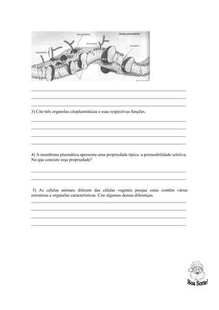 ______________________________________________________________________
______________________________________________________________________
______________________________________________________________________
3) Cite três organelas citoplasmáticas e suas respectivas funções.
______________________________________________________________________
______________________________________________________________________
______________________________________________________________________
______________________________________________________________________

4) A membrana plasmática apresenta uma propriedade típica: a permeabilidade seletiva.
No que consiste essa propriedade?

______________________________________________________________________
______________________________________________________________________

 5) As células animais diferem das células vegetais porque estas contêm várias
estruturas e organelas características. Cite algumas dessas diferenças.
______________________________________________________________________
______________________________________________________________________
______________________________________________________________________
______________________________________________________________________
 