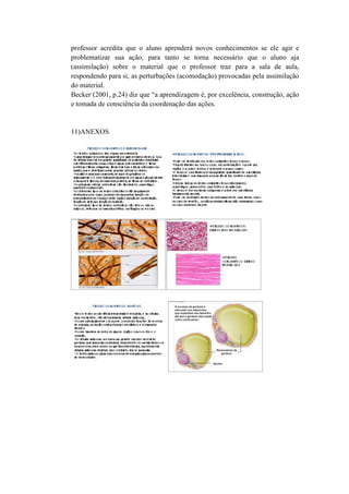 professor acredita que o aluno aprenderá novos conhecimentos se ele agir e
problematizar sua ação, para tanto se torna necessário que o aluno aja
(assimilação) sobre o material que o professor traz para a sala de aula,
respondendo para si, as perturbações (acomodação) provocadas pela assimilação
do material.
Becker (2001, p.24) diz que “a aprendizagem é, por excelência, construção, ação
e tomada de consciência da coordenação das ações.


11)ANEXOS
 