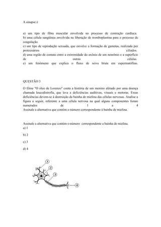 A sinapse é


a) um tipo de fibra muscular envolvida no processo de contração cardíaca.
b) uma célula sangüínea envolvida na liberação de tromboplastina para o processo de
coagulação.
c) um tipo de reprodução sexuada, que envolve a formação de gametas, realizada por
protozoários                                                               ciliados.
d) uma região de contato entre a extremidade do axônio de um neurônio e a superfície
de                                   outras                                 células.
e) um fenômeno que explica o fluxo de seiva bruta em espermatófitas.




QUESTÃO 3

O filme "O óleo de Lorenzo" conta a história de um menino afetado por uma doença
chamada leucodistrofia, que leva a deficiências auditivas, visuais e motoras. Essas
deficiências devem-se à destruição da bainha de mielina das células nervosas. Analise a
figura a seguir, referente a uma célula nervosa na qual alguns componentes foram
numerados                    de                 1                  a                  4
Assinale a alternativa que contém o número correspondente à bainha de mielina.



Assinale a alternativa que contém o número correspondente a bainha de mielina.
a) 1

b) 2

c) 3

d) 4
 