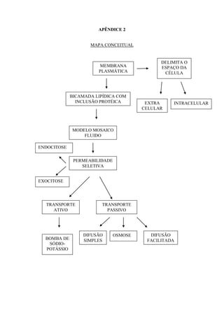 APÊNDICE 2


                    MAPA CONCEITUAL


                                              DELIMITA O
                       MEMBRANA               ESPAÇO DA
                       PLASMÁTICA              CÉLULA




             BICAMADA LIPÍDICA COM
               INCLUSÃO PROTÉICA         EXTRA    INTRACELULAR
                                        CELULAR



             MODELO MOSAICO
                 FLUIDO

ENDOCITOSE

              PERMEABILIDADE
                 SELETIVA


EXOCITOSE




  TRANSPORTE             TRANSPORTE
     ATIVO                 PASSIVO




                 DIFUSÃO       OSMOSE     DIFUSÃO
  BOMBA DE       SIMPLES                 FACILITADA
   SÓDIO-
  POTÁSSIO
 