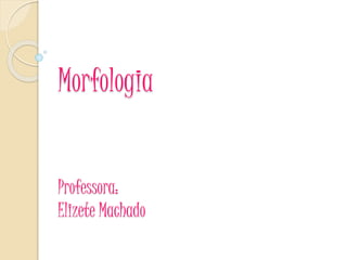 Morfologia
Professora:
Elizete Machado
 