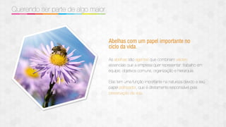 Plano de compensaçao bee better 