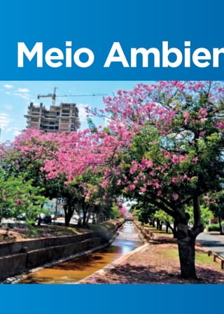 Meio Ambien
 