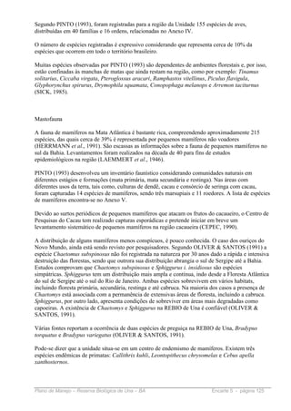 Segundo PINTO (1993), foram registradas para a região da Unidade 155 espécies de aves,
distribuídas em 40 famílias e 16 ordens, relacionadas no Anexo IV.

O número de espécies registradas é expressivo considerando que representa cerca de 10% da
espécies que ocorrem em todo o território brasileiro.

Muitas espécies observadas por PINTO (1993) são dependentes de ambientes florestais e, por isso,
estão confinadas às manchas de matas que ainda restam na região, como por exemplo: Tinamus
solitarius, Ciccaba virgata, Pteroglossus aracari, Ramphastos vitellinus, Piculus flavigula,
Glyphorynchus spirurus, Drymophila squamata, Conopophaga melanops e Arremon taciturnus
(SICK, 1985).



Mastofauna

A fauna de mamíferos na Mata Atlântica é bastante rica, compreendendo aproximadamente 215
espécies, das quais cerca de 39% é representada por pequenos mamíferos não voadores
(HERRMANN et al., 1991). São escassas as informações sobre a fauna de pequenos mamíferos no
sul da Bahia. Levantamentos foram realizados na década de 40 para fins de estudos
epidemiológicos na região (LAEMMERT et al., 1946).

PINTO (1993) desenvolveu um inventário faunístico considerando comunidades naturais em
diferentes estágios e formações (mata primária, mata secundária e restinga). Nas áreas com
diferentes usos da terra, tais como, culturas de dendê, cacau e consórcio de seringa com cacau,
foram capturadas 14 espécies de mamíferos, sendo três marsupiais e 11 roedores. A lista de espécies
de mamíferos encontra-se no Anexo V.

Devido ao surtos periódicos de pequenos mamíferos que atacam os frutos do cacaueiro, o Centro de
Pesquisas do Cacau tem realizado capturas esporádicas e pretende iniciar em breve um
levantamento sistemático de pequenos mamíferos na região cacaueira (CEPEC, 1990).

A distribuição de alguns mamíferos menos conspícuos, é pouco conhecida. O caso dos ouriços do
Novo Mundo, ainda está sendo revisto por pesquisadores. Segundo OLIVER & SANTOS (1991) a
espécie Chaetomus subspinosus não foi registrada na natureza por 30 anos dado a rápida e intensiva
destruição das florestas, sendo que outrora sua distribuição abrangia o sul de Sergipe até a Bahia.
Estudos comprovam que Chaetomys subspinosus e Sphiggurus i. insidiosus são espécies
simpátricas. Sphiggurus tem um distribuição mais ampla e contínua, indo desde a Floresta Atlântica
do sul de Sergipe até o sul do Rio de Janeiro. Ambas espécies sobrevivem em vários habitats,
incluindo floresta primária, secundária, restinga e até cabruca. Na maioria dos casos a presença de
Chaetomys está associada com a permanência de extensivas áreas de floresta, incluindo a cabruca.
Sphiggurus, por outro lado, apresenta condições de sobreviver em áreas mais degradadas como
capoeiras. A existência de Chaetomys e Sphiggurus na REBIO de Una é confiável (OLIVER &
SANTOS, 1991).

Várias fontes reportam a ocorrência de duas espécies de preguiça na REBIO de Una, Bradypus
torquatus e Bradypus variegatus (OLIVER & SANTOS, 1991).

Pode-se dizer que a unidade situa-se em um centro de endemismo de mamíferos. Existem três
espécies endêmicas de primatas: Callithrix kuhli, Leontopithecus chrysomelas e Cebus apella
xanthosternos.



Plano de Manejo – Reserva Biológica de Una – BA                           Encarte 5 - página 125
 