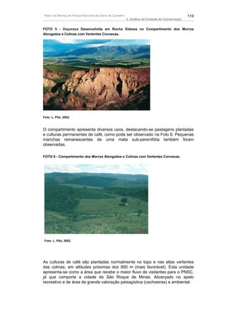 Plano de Manejo do Parque Nacional da Serra da Canastra                                          119
                                                           3. Análise da Unidade de Conservação


FOTO 5 - Voçoroca Desenvolvida em Rocha Xistosa no Compartimento dos Morros
Alongados e Colinas com Vertentes Convexas.




Foto: L. Piló, 2002.



O compartimento apresenta diversos usos, destacando-se pastagens plantadas
e culturas permanentes de café, como pode ser observado na Foto 6. Pequenas
manchas remanescentes de uma mata sub-perenifólia também foram
observadas.

FOTO 6 - Compartimento dos Morros Alongados e Colinas com Vertentes Convexas.




Foto: L. Piló, 2002.




As culturas de café são plantadas normalmente no topo e nas altas vertentes
das colinas, em altitudes próximas dos 900 m (mais favorável). Esta unidade
apresenta-se como a área que recebe o maior fluxo de visitantes para o PNSC,
já que comporta a cidade de São Roque de Minas. Alicerçado no apelo
recreativo e de área de grande valoração paisagística (cachoeiras) e ambiental.
 