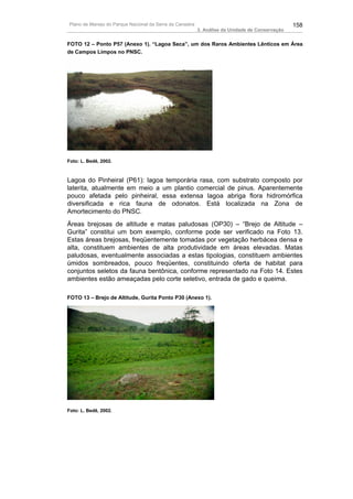 Plano de Manejo do Parque Nacional da Serra da Canastra                                          158
                                                          3. Análise da Unidade de Conservação


FOTO 12 – Ponto P57 (Anexo 1). “Lagoa Seca”, um dos Raros Ambientes Lênticos em Área
de Campos Limpos no PNSC.




Foto: L. Bedê, 2002.



Lagoa do Pinheiral (P61): lagoa temporária rasa, com substrato composto por
laterita, atualmente em meio a um plantio comercial de pinus. Aparentemente
pouco afetada pelo pinheiral, essa extensa lagoa abriga flora hidromórfica
diversificada e rica fauna de odonatos. Está localizada na Zona de
Amortecimento do PNSC.
Áreas brejosas de altitude e matas paludosas (OP30) – “Brejo de Altitude –
Gurita” constitui um bom exemplo, conforme pode ser verificado na Foto 13.
Estas áreas brejosas, freqüentemente tomadas por vegetação herbácea densa e
alta, constituem ambientes de alta produtividade em áreas elevadas. Matas
paludosas, eventualmente associadas a estas tipologias, constituem ambientes
úmidos sombreados, pouco freqüentes, constituindo oferta de habitat para
conjuntos seletos da fauna bentônica, conforme representado na Foto 14. Estes
ambientes estão ameaçadas pelo corte seletivo, entrada de gado e queima.

FOTO 13 – Brejo de Altitude, Gurita Ponto P30 (Anexo 1).




Foto: L. Bedê, 2002.
 
