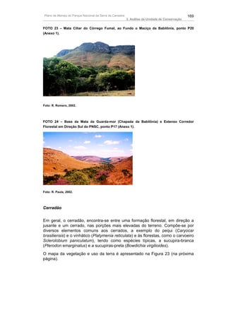 Plano de Manejo do Parque Nacional da Serra da Canastra                                          169
                                                          3. Análise da Unidade de Conservação


FOTO 23 – Mata Ciliar do Córrego Fumal, ao Fundo o Maciço da Babilônia, ponto P20
(Anexo 1).




Foto: R. Romero, 2002.




FOTO 24 – Base da Mata da Guarda-mor (Chapada da Babilônia) e Extenso Corredor
Florestal em Direção Sul do PNSC, ponto P17 (Anexo 1).




Foto: R. Paula, 2002.




Cerradão


Em geral, o cerradão, encontra-se entre uma formação florestal, em direção a
jusante e um cerrado, nas porções mais elevadas do terreno. Compõe-se por
diversos elementos comuns aos cerrados, a exemplo do pequi (Caryocar
brasiliensis) e o vinhático (Platymenia reticulata) e às florestas, como o carvoeiro
Sclerolobium paniculatum), tendo como espécies típicas, a sucupira-branca
(Pterodon emarginatus) e a sucupiras-preta (Bowdichia virgilioides).
O mapa da vegetação e uso da terra é apresentado na Figura 23 (na próxima
página).
 