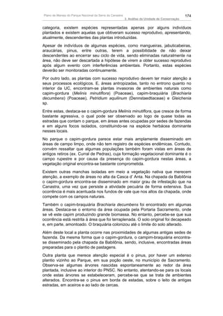 Plano de Manejo do Parque Nacional da Serra da Canastra                                          174
                                                          3. Análise da Unidade de Conservação


categoria, existem espécies representadas apenas por alguns indivíduos
plantados e existem aquelas que obtiveram sucesso reprodutivo, apresentando,
atualmente, descendentes das plantas introduzidas.
Apesar de indivíduos de algumas espécies, como mangueiras, jabuticabeiras,
araucárias, pinus, entre outras, terem a possibilidade de não deixar
descendentes ao encerrar seu ciclo de vida, sendo eliminadas naturalmente na
área, não deve ser descartada a hipótese de virem a obter sucesso reprodutivo
após algum evento com interferências ambientais. Portanto, estas espécies
deverão ser monitoradas continuamente.
Por outro lado, as plantas com sucesso reprodutivo devem ter maior atenção a
seus processos ecológicos. E, áreas antropizadas, tanto no entrono quanto no
interior da UC, encontram-se plantas invasoras de ambientes naturais como
capim-gordura (Melinis minutiflora) (Poaceae), capim-braquiária (Brachiaria
decumbens) (Poaceae), Petridium aquilinum (Dennstaedtiaceae) e Gleichenia
sp.
Entre estas, destaca-se o capim-gordura Melinis minutiflora, que cresce de forma
bastante agressiva, o qual pode ser observado ao logo de quase todas as
estradas que contam o parque, em áreas antes ocupadas por sedes de fazendas
e em alguns focos isolados, constituindo-se na espécie herbácea dominante
nesses locais.
No parque o capim-gordura parece estar mais amplamente disseminado em
áreas de campo limpo, onde não tem registro de espécies endêmicas. Contudo,
convém ressaltar que algumas populações também foram vistas em áreas de
antigos retiros (ex. Curral de Pedras), cuja formação vegetacional dominante é o
campo rupestre e por causa da presença do capim-gordura nestas áreas, a
vegetação original encontra-se bastante comprometida.
Existem outras manchas isoladas em meio a vegetação nativa que merecem
atenção, a exemplo de áreas no alta da Casca d’ Anta. Na chapada da Babilônia
o capim-gordura encontra-se disseminado em maior grau de infestação que na
Canastra, uma vez que persiste a atividade pecuária de forma extensiva. Sua
ocorrência é mais acentuada nos fundos de vale que nos altos da chapada, onde
compete com os campos naturais.
Também o capim-braquiária Brachiaria decumbens foi encontrado em algumas
áreas. Destaca-se o entorno da área ocupada pela Portaria Sacramento, onde
se vê este capim produzindo grande biomassa. No entanto, percebe-se que sua
ocorrência está restrita à área que foi terraplenada. O solo original foi decapeado
e, em parte, amontoado. O braquiária colonizou até o limite do solo alterado.
Além deste local a planta ocorre nas proximidades de algumas antigas sedes de
fazenda. Da mesma forma que o capim-gordura, o campim-braquiária encontra-
se disseminado pela chapada da Babilônia, sendo, inclusive, encontradas áreas
preparadas para o plantio de pastagens.
Outra planta que merece atenção especial é o pinus, por haver um extenso
plantio vizinho ao Parque, em sua poção oeste, no município de Sacramento.
Observa-se algumas árvores nascidas espontaneamente ao redor da área
plantada, inclusive ao interior do PNSC. No entanto, atentando-se para os locais
onde estas árvores se estabeleceram, percebe-se que se trata de ambientes
alterados. Encontra-se o pinus em borda de estadas, sobre o leito de antigas
estradas, em aceiros e ao lado de cercas.
 