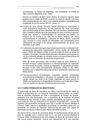 Plano de Manejo do Parque Nacional da Serra da Canastra                                          199
                                                          3. Análise da Unidade de Conservação


        concentrados no maciço do Espinhaço, nas imediações na cidade de
        Belo Horizonte (Machado et alii, 1998).
       Durante os trabalhos de AER, foram obtidos os primeiros registros desta
       espécie para a região do PNSC, quando um casal foi atraído com play-
       black pré-gravado de seu canto, e em seguida gravado e fotografado nas
       imediações do rio Piuí (ponto OPo16 – Anexo 1).
   20 Canário-da terra (Sicalis flaveola), bicudo (Oryzoborus maximiliani) e
      curió (Oryzoborus angolensis). As três espécies são muito procuradas
      pelo comércio ilegal de aves silvestres, fato que contribuiu decididamente
      para a drástica redução de suas populações em todo o território nacional.
      Entre elas apenas o canário-da-terra foi observado em campo, no
      entorno do rio Fumal e no vale do rio Santo Antônio, em áreas
      peridomiciliares. É considerado vulnerável em Minas Gerais, enquanto
      que o bicudo e o curió, citados em bibliografia, são considerados como
      criticamente em perigo e em perigo, respectivamente, de acordo com
      Machado et alii (1998).
   21 Caboclinho-de-sobre-ferrugem (Sporophila hypochroma) e caboclinho-de-
      barriga-preta (Sporophila melanogaster), ambos citados em bibliografia
      para o PNSC, por Silveira (1998), e ocorrem nesta UC entre os meses de
      outubro e novembro. Durante deslocamentos migratórios provenientes do
      sul do continente, atingem os campos úmidos e campos hidromórficos do
      PNSC, onde se alimentam de sementes de gramíneas.
       Além de serem procurados pelo comércio ilegal de aves silvestres, a
       principal ameaça a estas espécies é a descaracterização da vegetação
       em seus locais de parada, durante as migrações. O caboclinho-de-sobre-
       ferrugem é tido como provavelmente ameaçado (Collar et alii, 1992),
       enquanto que o caboclinho-de-barriga-preta é considerado vulnerável em
       Minas Gerais.
   22 Tico-tico-do-campo (Coryphospiza melanotis), espécie considerada
      provavelmente ameaçada e indicadora de qualidade para ambiente de
      campo cerrado por Stotz et alii (1996), registrada em vários pontos do
      PNSC, principalmente no Chapadão da Canastra e serra das Sete Voltas,
      com um registro no vão dos Cândidos e outro na Gurita.

3.2.7.5 CARACTERIZAÇÃO DA MASTOFAUNA
A composição da fauna de mamíferos de médio e grande portes da região do
PNSC é apresentada em um montante significativo, porém inferior ao número
total de espécies ocorrentes em todo o ecossistema. O Parque, no entanto,
apresenta uma alta diversidade, com a ocorrência de 38 espécies terrestres
(considerando aqui animais de peso corpóreo equivalente ou superior a 2 kg),
como pode ser visto nos Anexos 22 e 23. Quando comparado com o número de
espécies (em equivalente biomassa) para todo o cerrado 46 táxons (Redford &
Fonseca 1986), nota-se a significativa diversidade de mamíferos desta UC, ao
apresentar um número de espécies relativamente alto para uma região de
exploração econômica extensiva pela intensa atividade humana.
Da mesma forma, a fauna de carnívoros detém 15 representantes (Anexo 22) na
área em questão, para o número total de 21, em todo o cerrado (Redford &
Fonseca 1986). Estabelecendo-se uma relação da fauna de carnívoros com a
dos outros grupos presentes, nota-se que representam 40% das espécies
 