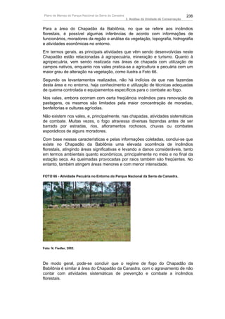 Plano de Manejo do Parque Nacional da Serra da Canastra                                          236
                                                          3. Análise da Unidade de Conservação


Para a área do Chapadão da Babilônia, no que se refere aos incêndios
florestais, é possível algumas inferências de acordo com informações de
funcionários, moradores da região e análise da vegetação, topografia, hidrografia
e atividades econômicas no entorno.
Em termos gerais, as principais atividades que vêm sendo desenvolvidas neste
Chapadão estão relacionadas à agropecuária, mineração e turismo. Quanto à
agropecuária, vem sendo realizada nas áreas de chapada com utilização de
campos nativos, enquanto nos vales pratica-se a agricultura e pecuária com um
maior grau de alteração na vegetação, como ilustra a Foto 66.
Segundo os levantamentos realizados, não há indícios de que nas fazendas
desta área e no entorno, haja conhecimento e utilização de técnicas adequadas
de queima controlada e equipamentos específicos para o combate ao fogo.
Nos vales, embora ocorram com certa freqüência incêndios para renovação de
pastagens, os mesmos são limitados pela maior concentração de moradias,
benfeitorias e culturas agrícolas.
Não existem nos vales, e, principalmente, nas chapadas, atividades sistemáticas
de combate. Muitas vezes, o fogo atravessa diversas fazendas antes de ser
barrado por estradas, rios, afloramentos rochosos, chuvas ou combates
esporádicos de alguns moradores.
Com base nessas características e pelas informações coletadas, conclui-se que
existe no Chapadão da Babilônia uma elevada ocorrência de incêndios
florestais, atingindo áreas significativas e levando a danos consideráveis, tanto
em termos ambientais quanto econômicos, principalmente no meio e no final da
estação seca. As queimadas provocadas por raios também são freqüentes. No
entanto, também atingem áreas menores e com menor intensidade.

FOTO 66 - Atividade Pecuária no Entorno do Parque Nacional da Serra da Canastra.




Foto: N. Fiedler, 2002.




De modo geral, pode-se concluir que o regime de fogo do Chapadão da
Babilônia é similar à área do Chapadão da Canastra, com o agravamento de não
contar com atividades sistemáticas de prevenção e combate a incêndios
florestais.
 