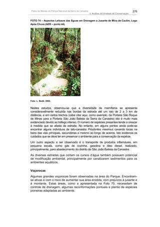 Plano de Manejo do Parque Nacional da Serra da Canastra                                          276
                                                          3. Análise da Unidade de Conservação


FOTO 74 – Aspectos Leitosos das Águas em Drenagem a Jusante de Mina de Caulim, Logo
Após Chuva (AER – ponto 44).




Foto: L. Bedê, 2002.


Nestes estudos, observou-se que a diversidade de mamíferos se apresenta
consideravelmente reduzida nas bordas da estrada até um raio de 2 a 3 km de
distância, e em certos trechos (cabe citar aqui, como exemplo, da Portaria São Roque
de Minas para a Portaria São João Batista da Serra da Canastra) isto é muito mais
evidenciado devido ao tráfego intenso. O número de espécies presentes tende a crescer
à medida que se afasta da estrada. No entanto, em alguns pontos ainda pode-se
encontrar alguns indivíduos de tatu-canastra Priodontes maximus cavando tocas na
beira das vias principais, secundárias e mesmo ao longo de aceiros. Isto evidencia os
cuidados que se deve ter em preservar o ambiente para a conservação da espécie.
Um outro aspecto a ser observado é o transporte de produtos inflamáveis, em
pequena escala, como gás de cozinha, gasolina e óleo diesel, realizado,
principalmente, para abastecimento do distrito de São João Batista da Canastra.
As diversas estradas que cortam os cursos d’água também possuem potencial
de modificação ambiental, principalmente por canalizarem sedimentos para os
ambientes aquáticos.

Voçorocas
Algumas grandes voçorocas foram observadas na área do Parque. Encontram-
se ativas e com o risco de aumentar sua área erodida, com prejuízos à jusante e
à montante. Estas áreas, como a apresentada na Foto 75, necessitam de
controle de drenagem, algumas reconformações pontuais e plantio de espécies
pioneiras adaptadas ao ambiente.
 