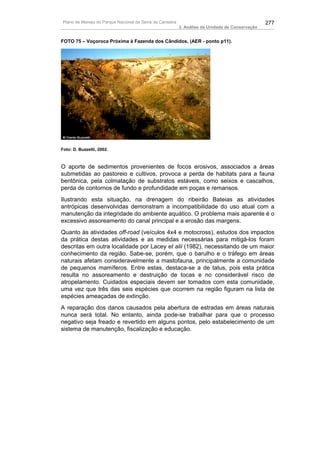 Plano de Manejo do Parque Nacional da Serra da Canastra                                          277
                                                          3. Análise da Unidade de Conservação


FOTO 75 – Voçoroca Próxima à Fazenda dos Cândidos, (AER - ponto p11).




Foto: D. Buzzetti, 2002.



O aporte de sedimentos provenientes de focos erosivos, associados a áreas
submetidas ao pastoreio e cultivos, provoca a perda de habitats para a fauna
bentônica, pela colmatação de substratos estáveis, como seixos e cascalhos,
perda de contornos de fundo e profundidade em poças e remansos.
Ilustrando esta situação, na drenagem do ribeirão Bateias as atividades
antrópicas desenvolvidas demonstram a incompatibilidade do uso atual com a
manutenção da integridade do ambiente aquático. O problema mais aparente é o
excessivo assoreamento do canal principal e a erosão das margens.
Quanto às atividades off-road (veículos 4x4 e motocross), estudos dos impactos
da prática destas atividades e as medidas necessárias para mitigá-los foram
descritas em outra localidade por Lacey et alii (1982), necessitando de um maior
conhecimento da região. Sabe-se, porém, que o barulho e o tráfego em áreas
naturais afetam consideravelmente a mastofauna, principalmente a comunidade
de pequenos mamíferos. Entre estas, destaca-se a de tatus, pois esta prática
resulta no assoreamento e destruição de tocas e no considerável risco de
atropelamento. Cuidados especiais devem ser tomados com esta comunidade,
uma vez que três das seis espécies que ocorrem na região figuram na lista de
espécies ameaçadas de extinção.
A reparação dos danos causados pela abertura de estradas em áreas naturais
nunca será total. No entanto, ainda pode-se trabalhar para que o processo
negativo seja freado e revertido em alguns pontos, pelo estabelecimento de um
sistema de manutenção, fiscalização e educação.
 