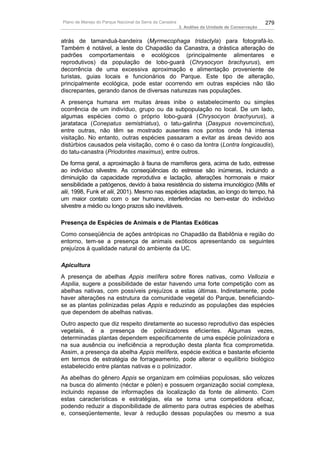 Plano de Manejo do Parque Nacional da Serra da Canastra                                          279
                                                          3. Análise da Unidade de Conservação


atrás de tamanduá-bandeira (Myrmecophaga tridactyla) para fotografá-lo.
Também é notável, a leste do Chapadão da Canastra, a drástica alteração de
padrões comportamentais e ecológicos (principalmente alimentares e
reprodutivos) da população de lobo-guará (Chrysocyon brachyurus), em
decorrência de uma excessiva aproximação e alimentação proveniente de
turistas, guias locais e funcionários do Parque. Este tipo de alteração,
principalmente ecológica, pode estar ocorrendo em outras espécies não tão
discrepantes, gerando danos de diversas naturezas nas populações.
A presença humana em muitas áreas inibe o estabelecimento ou simples
ocorrência de um indivíduo, grupo ou da subpopulação no local. De um lado,
algumas espécies como o próprio lobo-guará (Chrysocyon brachyurus), a
jaratataca (Conepatus semistriatus), o tatu-galinha (Dasypus novemcinctus),
entre outras, não têm se mostrado ausentes nos pontos onde há intensa
visitação. No entanto, outras espécies passaram a evitar as áreas devido aos
distúrbios causados pela visitação, como é o caso da lontra (Lontra longicaudis),
do tatu-canastra (Priodontes maximus), entre outros.
De forma geral, a aproximação à fauna de mamíferos gera, acima de tudo, estresse
ao indivíduo silvestre. As conseqüências do estresse são inúmeras, incluindo a
diminuição da capacidade reprodutiva e lactação, alterações hormonais e maior
sensibilidade a patógenos, devido à baixa resistência do sistema imunológico (Mills et
alii, 1998, Funk et alii, 2001). Mesmo nas espécies adaptadas, ao longo do tempo, há
um maior contato com o ser humano, interferências no bem-estar do indivíduo
silvestre a médio ou longo prazos são inevitáveis.

Presença de Espécies de Animais e de Plantas Exóticas
Como conseqüência de ações antrópicas no Chapadão da Babilônia e região do
entorno, tem-se a presença de animais exóticos apresentando os seguintes
prejuízos à qualidade natural do ambiente da UC.

Apicultura
A presença de abelhas Appis melífera sobre flores nativas, como Vellozia e
Aspilia, sugere a possibilidade de estar havendo uma forte competição com as
abelhas nativas, com possíveis prejuízos a estas últimas. Indiretamente, pode
haver alterações na estrutura da comunidade vegetal do Parque, beneficiando-
se as plantas polinizadas pelas Appis e reduzindo as populações das espécies
que dependem de abelhas nativas.
Outro aspecto que diz respeito diretamente ao sucesso reprodutivo das espécies
vegetais, é a presença de polinizadores eficientes. Algumas vezes,
determinadas plantas dependem especificamente de uma espécie polinizadora e
na sua ausência ou ineficiência a reprodução desta planta fica comprometida.
Assim, a presença da abelha Appis melífera, espécie exótica e bastante eficiente
em termos de estratégia de forrageamento, pode alterar o equilíbrio biológico
estabelecido entre plantas nativas e o polinizador.
As abelhas do gênero Appis se organizam em colméias populosas, são velozes
na busca do alimento (néctar e pólen) e possuem organização social complexa,
incluindo repasse de informações da localização da fonte de alimento. Com
estas características e estratégias, ela se torna uma competidora eficaz,
podendo reduzir a disponibilidade de alimento para outras espécies de abelhas
e, conseqüentemente, levar à redução dessas populações ou mesmo a sua
 