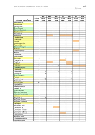 Plano de manejo completo