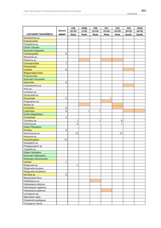 Plano de manejo completo