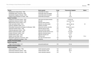 Plano de manejo completo