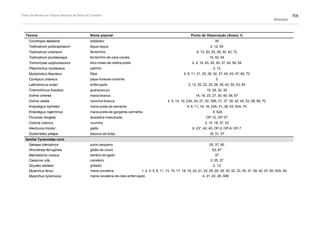 Plano de manejo completo