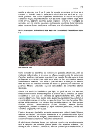 Plano de manejo completo