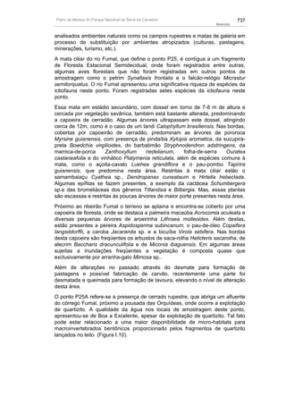 Plano de manejo completo