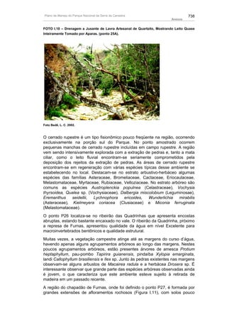 Plano de manejo completo