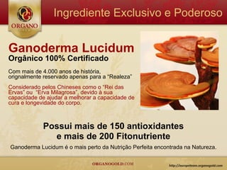 Ingrediente Exclusivo e Poderoso


Ganoderma Lucidum
Orgânico 100% Certificado
Com mais de 4.000 anos de história,
orignalmente reservado apenas para a “Realeza”
Considerado pelos Chineses como o “Rei das
Ervas” ou “Erva Milagrosa”, devido à sua
capacidade de ajudar a melhorar a capacidade de
cura e longevidade do corpo.



            Possui mais de 150 antioxidantes
              e mais de 200 Fitonutriente
Ganoderma Lucidum é o mais perto da Nutrição Perfeita encontrada na Natureza.
 