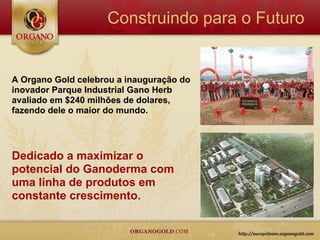 Construindo para o Futuro


A Organo Gold celebrou a inauguração do
inovador Parque Industrial Gano Herb
avaliado em $240 milhões de dolares,
fazendo dele o maior do mundo.




Dedicado a maximizar o
potencial do Ganoderma com
uma linha de produtos em
constante crescimento.
 